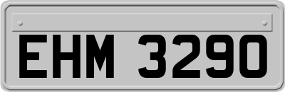 EHM3290