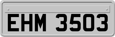 EHM3503