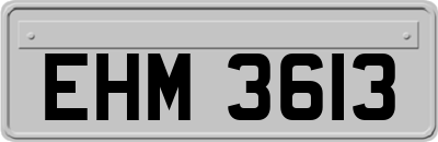 EHM3613