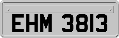 EHM3813