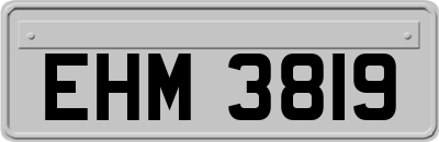 EHM3819