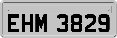 EHM3829