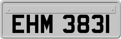 EHM3831