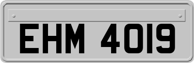 EHM4019