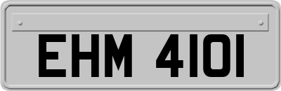 EHM4101