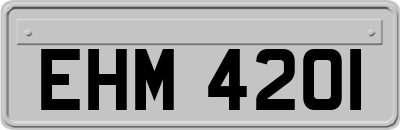 EHM4201