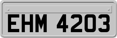 EHM4203