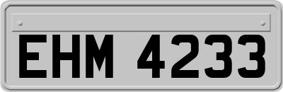 EHM4233
