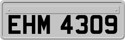 EHM4309