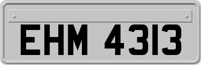 EHM4313