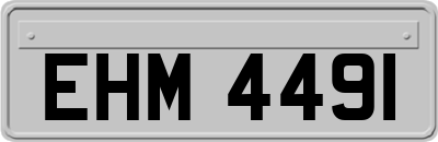 EHM4491