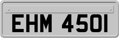 EHM4501