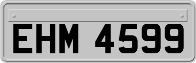 EHM4599