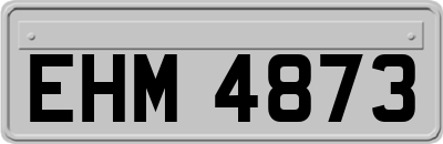 EHM4873