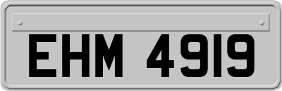 EHM4919