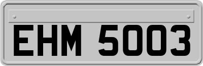 EHM5003