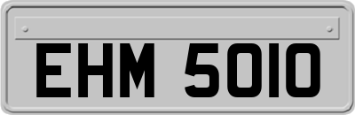 EHM5010