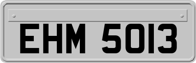 EHM5013