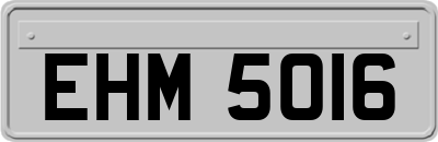 EHM5016