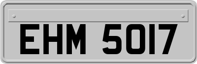 EHM5017