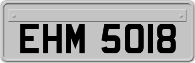 EHM5018