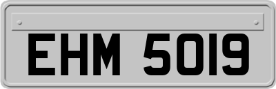 EHM5019