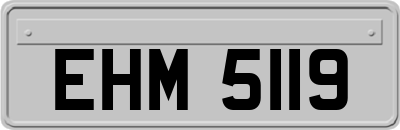 EHM5119