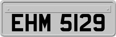 EHM5129