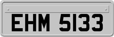EHM5133