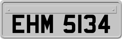 EHM5134
