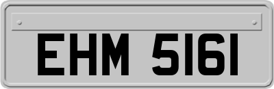 EHM5161