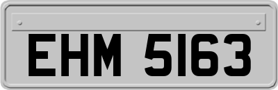 EHM5163