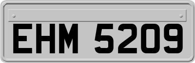 EHM5209