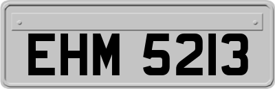 EHM5213