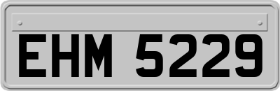 EHM5229