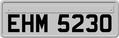 EHM5230