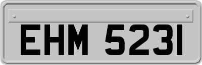 EHM5231