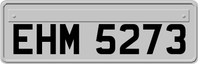 EHM5273
