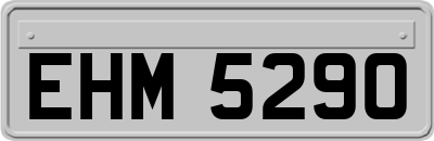 EHM5290