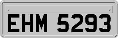 EHM5293