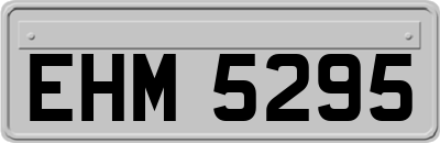 EHM5295