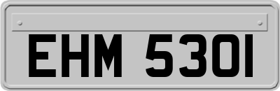 EHM5301