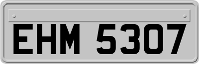 EHM5307