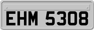 EHM5308