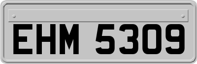 EHM5309