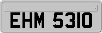EHM5310