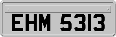 EHM5313