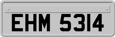 EHM5314