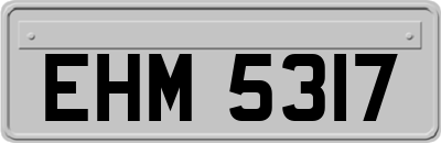 EHM5317