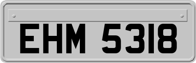 EHM5318